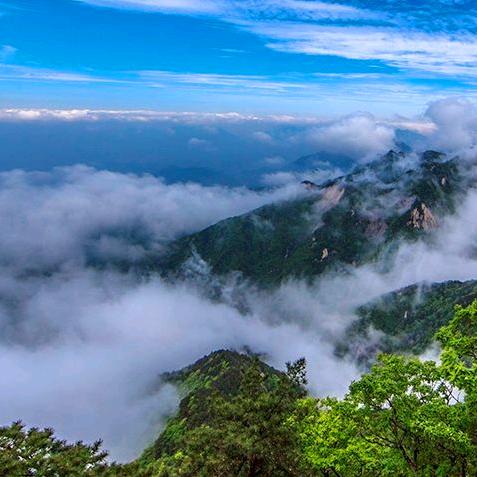 雲乘龍