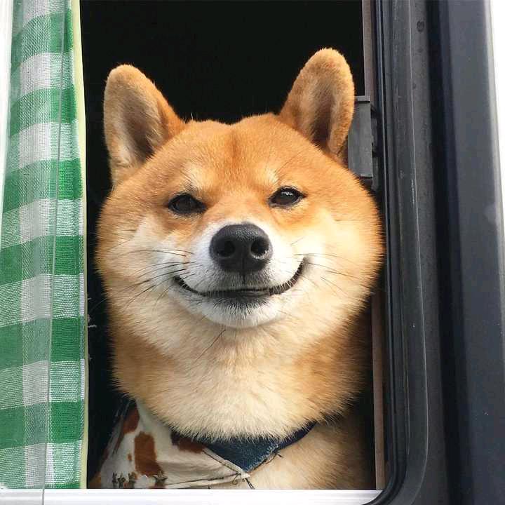 卖水果的小程