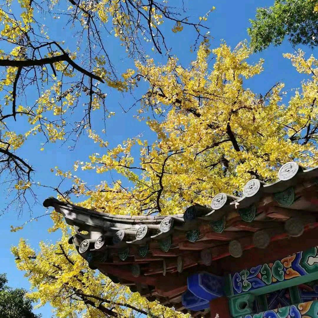 河北智造-矿山钻机