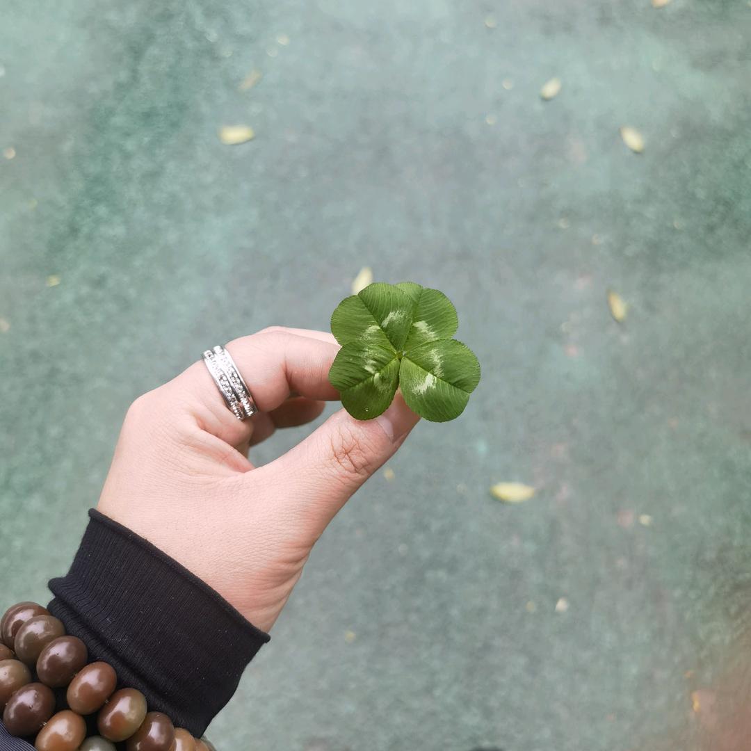廾匸乂氼