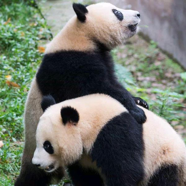 相信自己