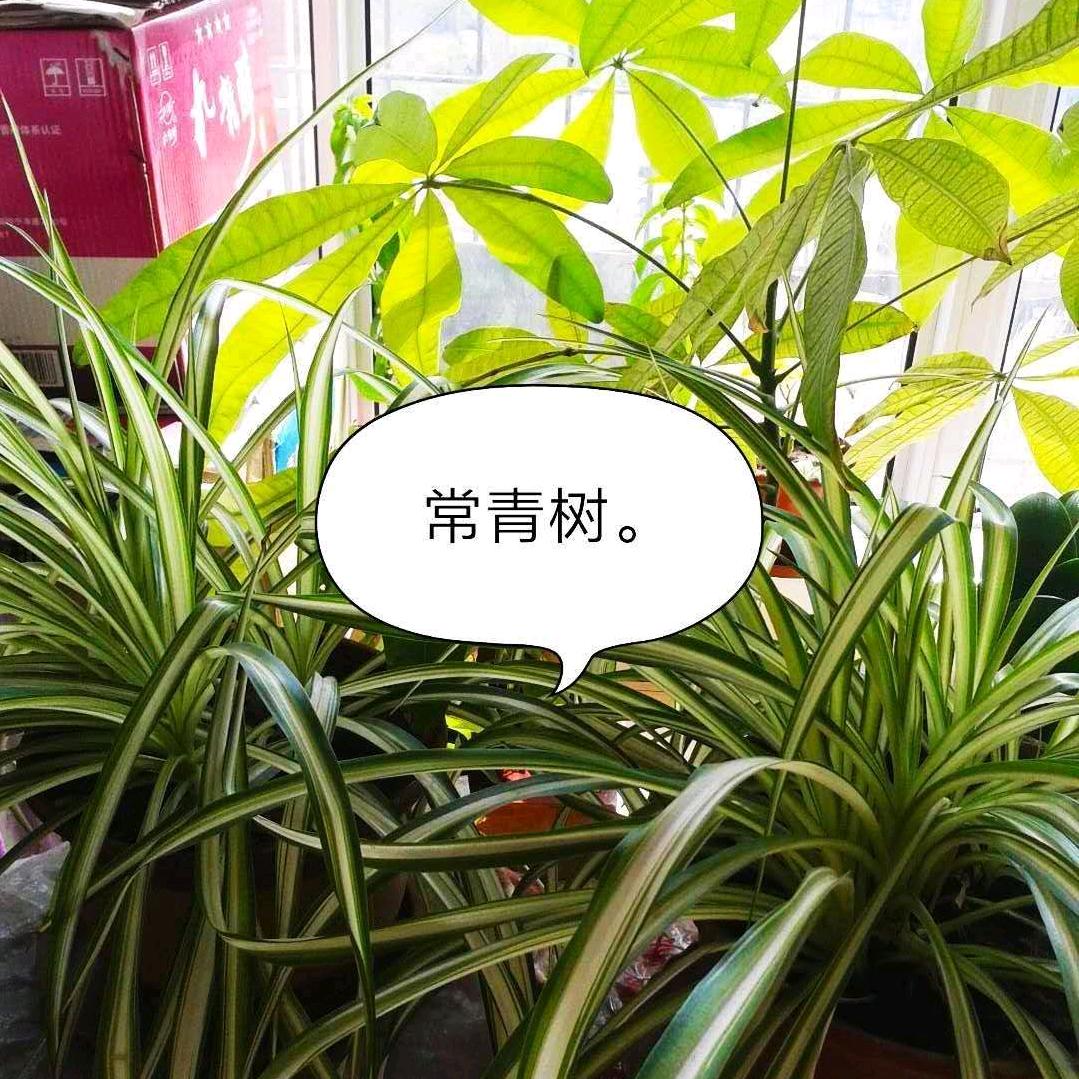 用户3489178007508臣