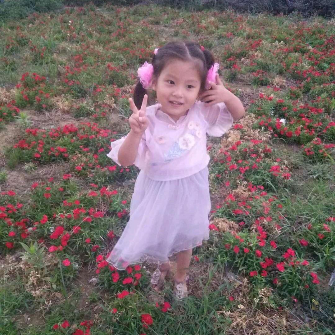 开心每一天。70年狗。