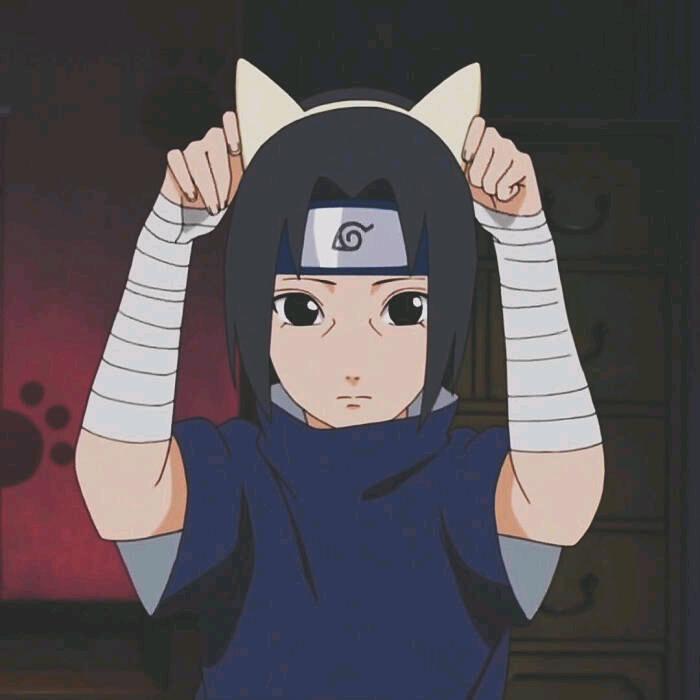 疲惫的浅灰色奶油虾🦐