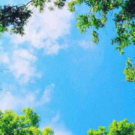 星辰望月