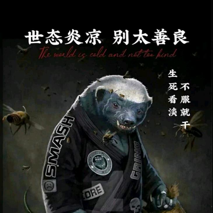 晚风vv