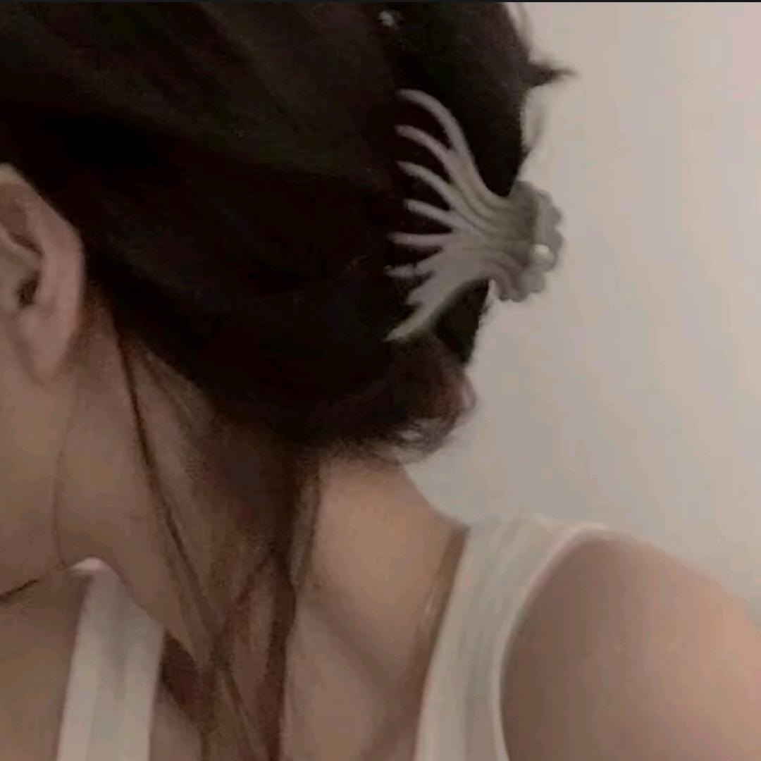 一个三明治