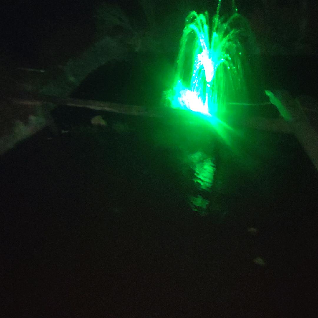 老胡