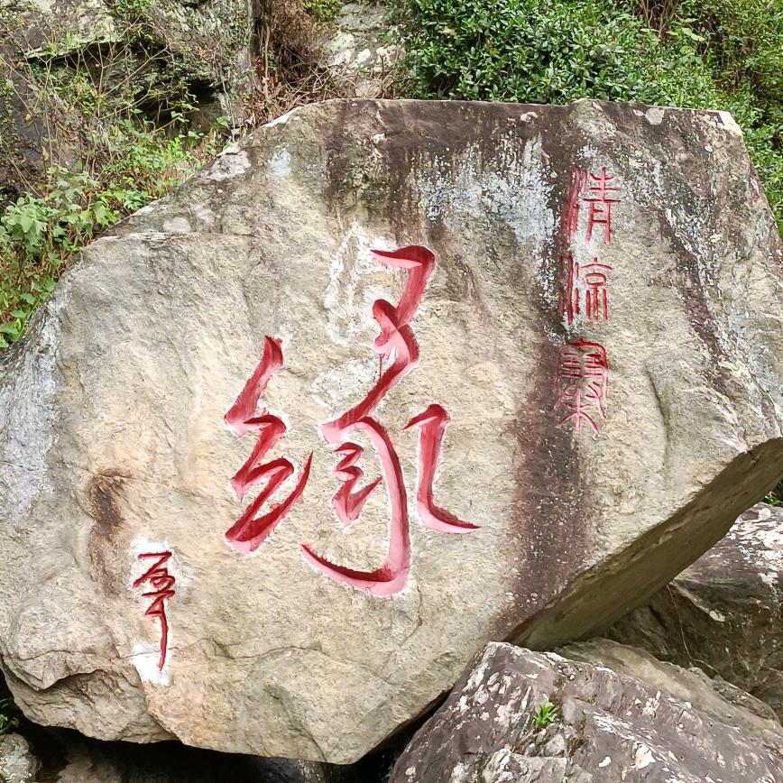 人才收集家