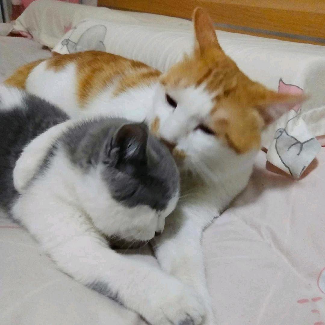 你不认识我