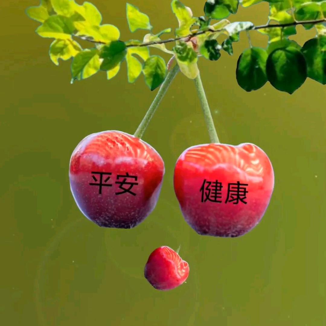 鹏哥@