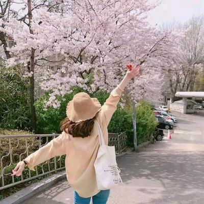 羊凤电信营业厅