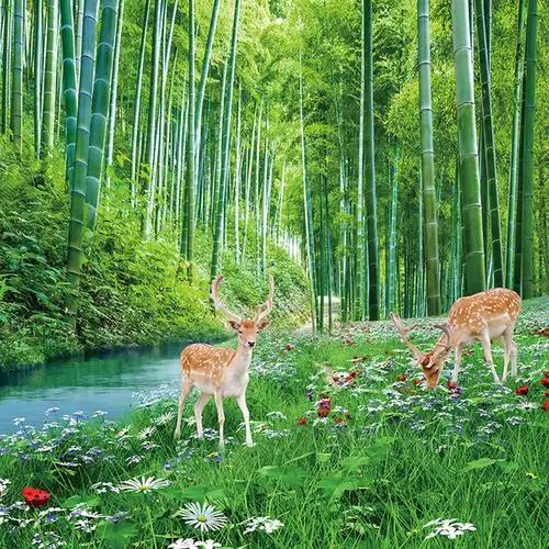 逆旅行人