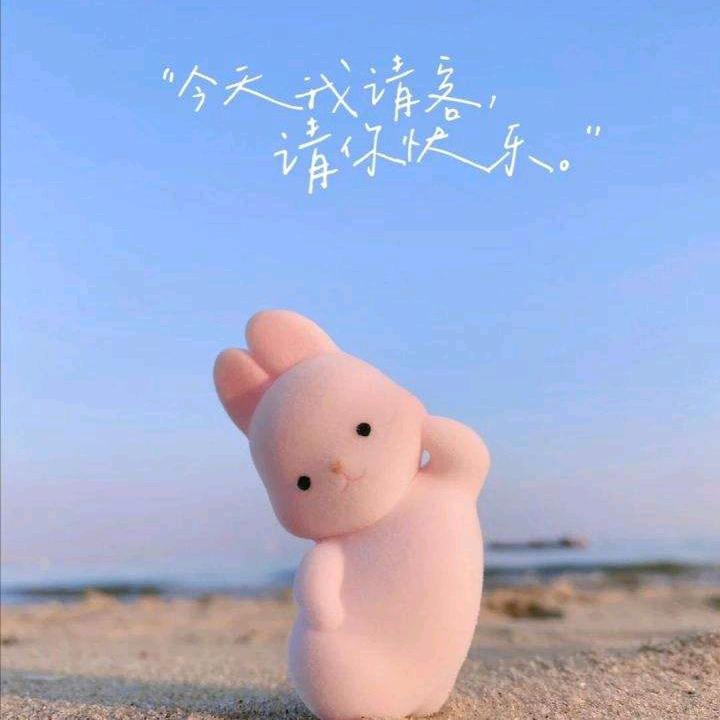 平常❤️（不定时直播）