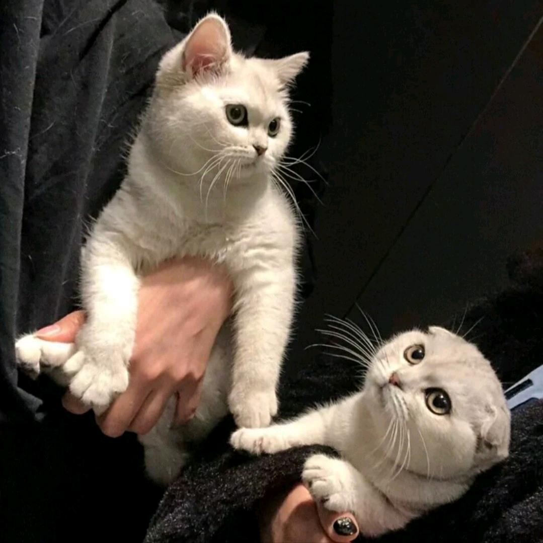 退后