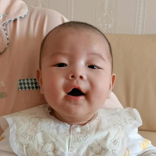 元宝特特特