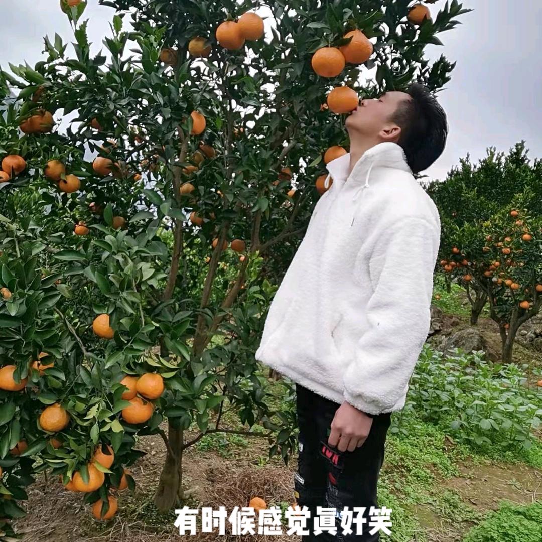万花丛中一点笑