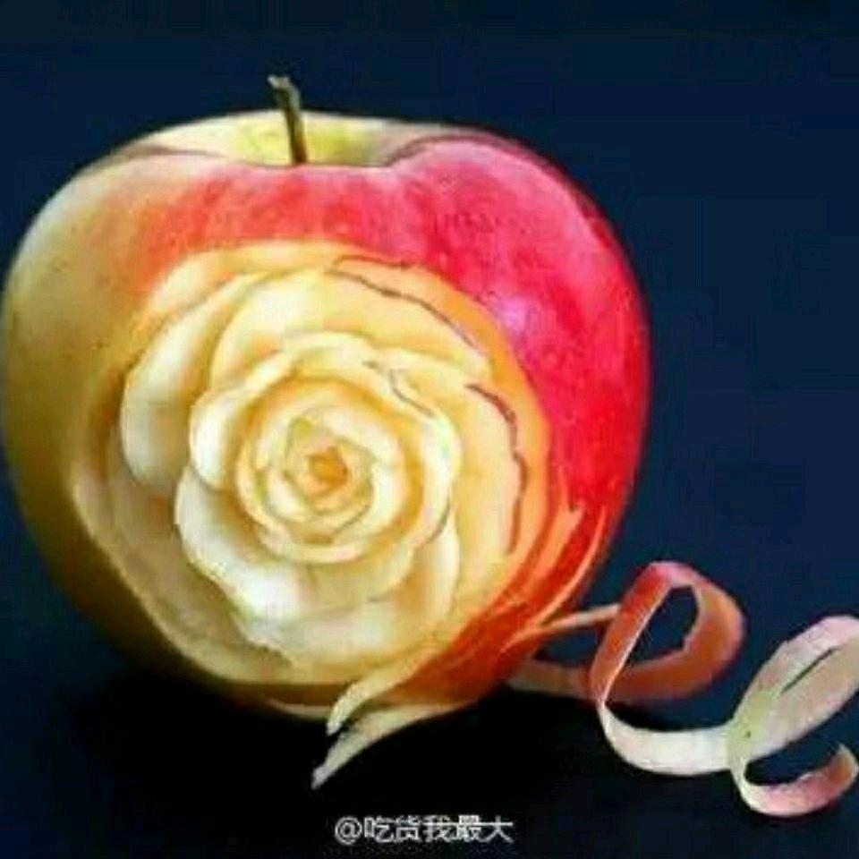 安静玫瑰