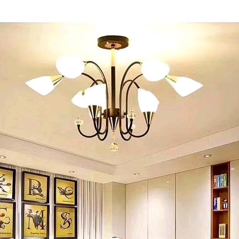 天豪五金灯饰水暖电缆工地材料