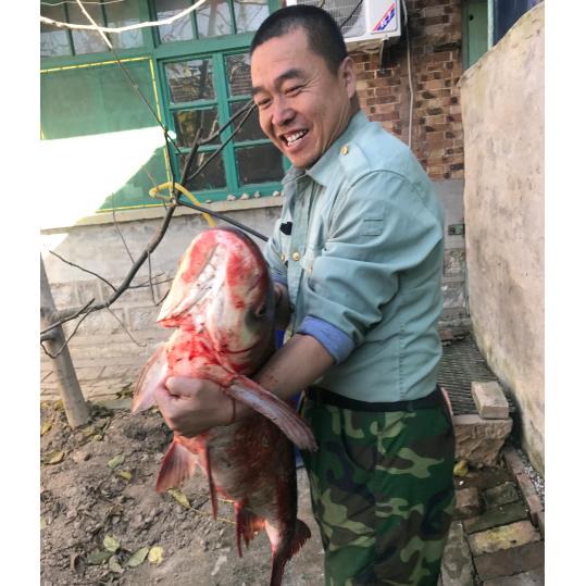 中国贾庄吃鱼第一人