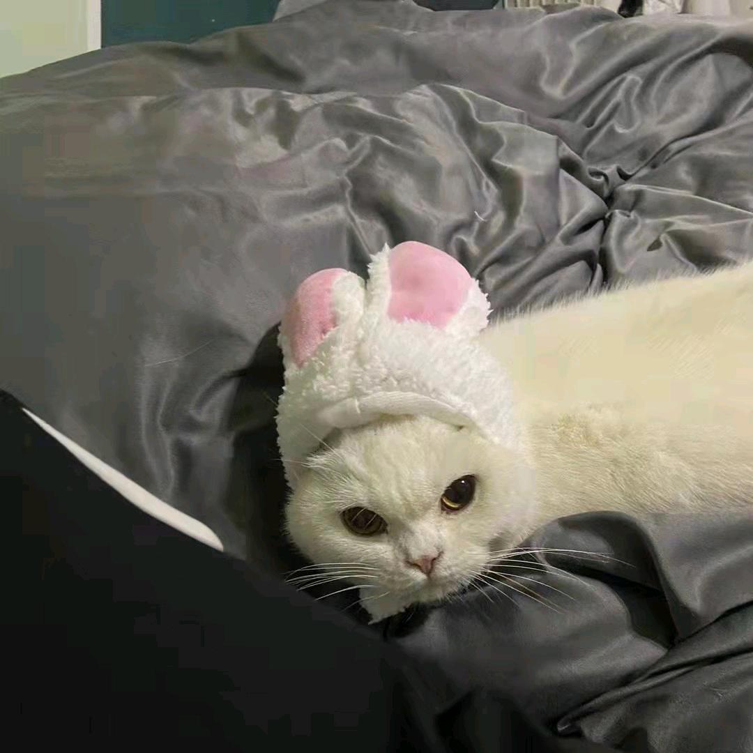 北湖龙王