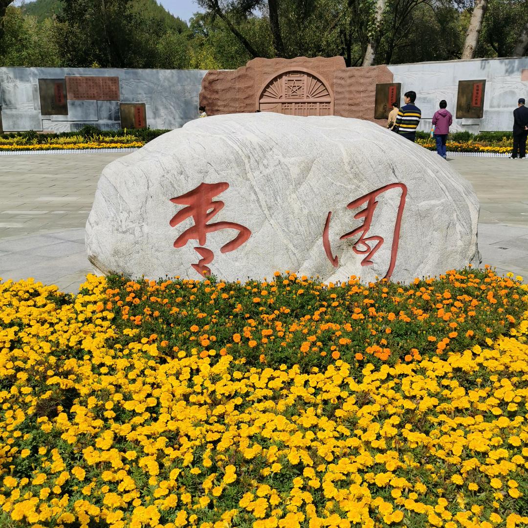 关庄强哥