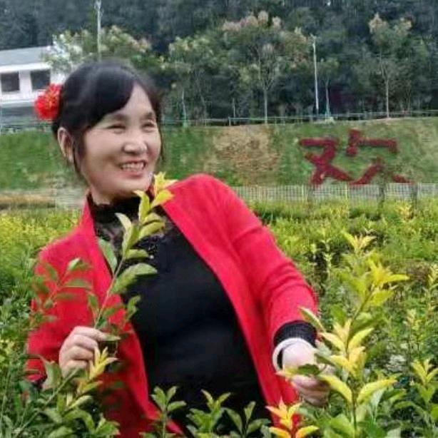 阿敏