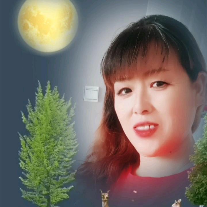 奇宝