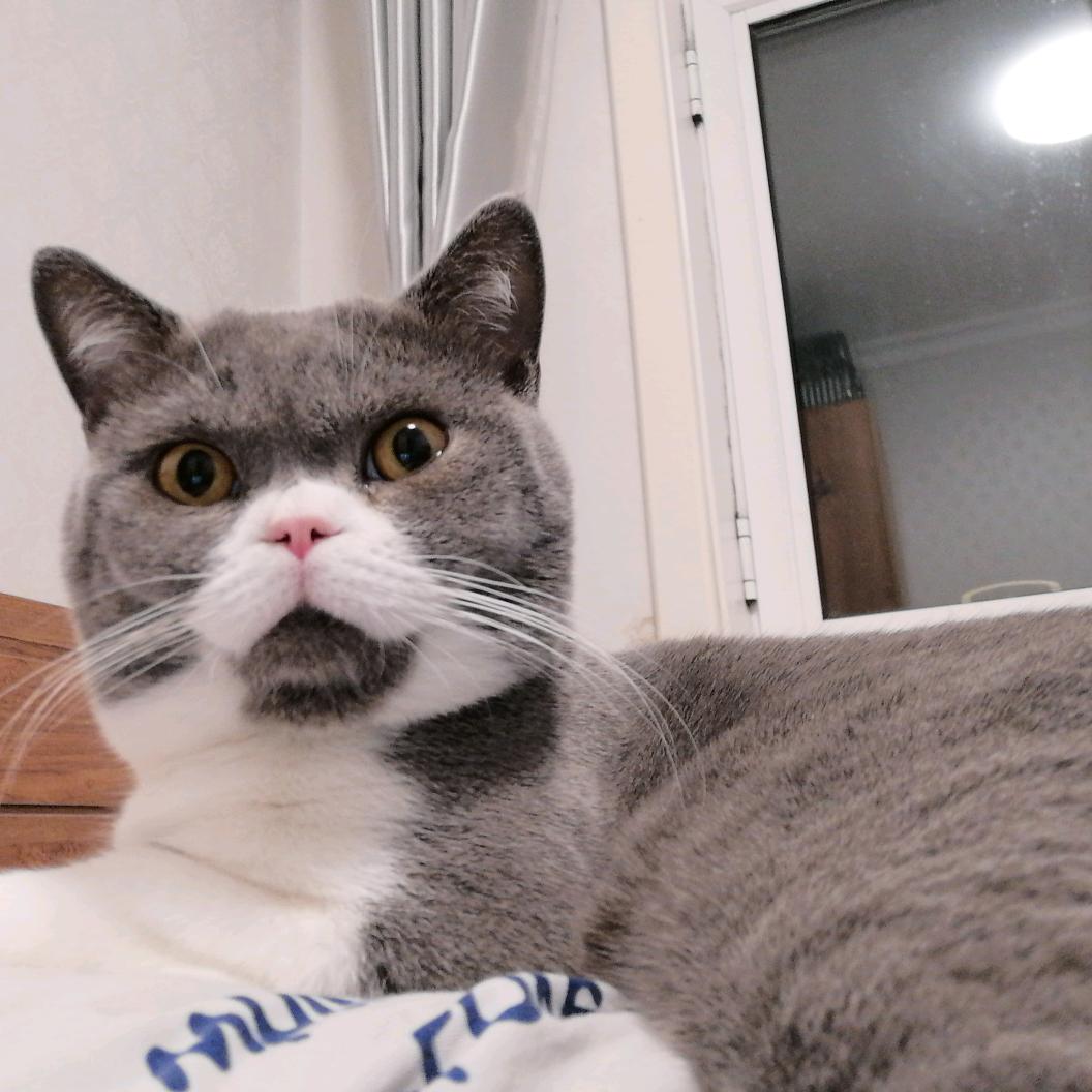 孙兰