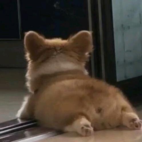 粗鲁小姐