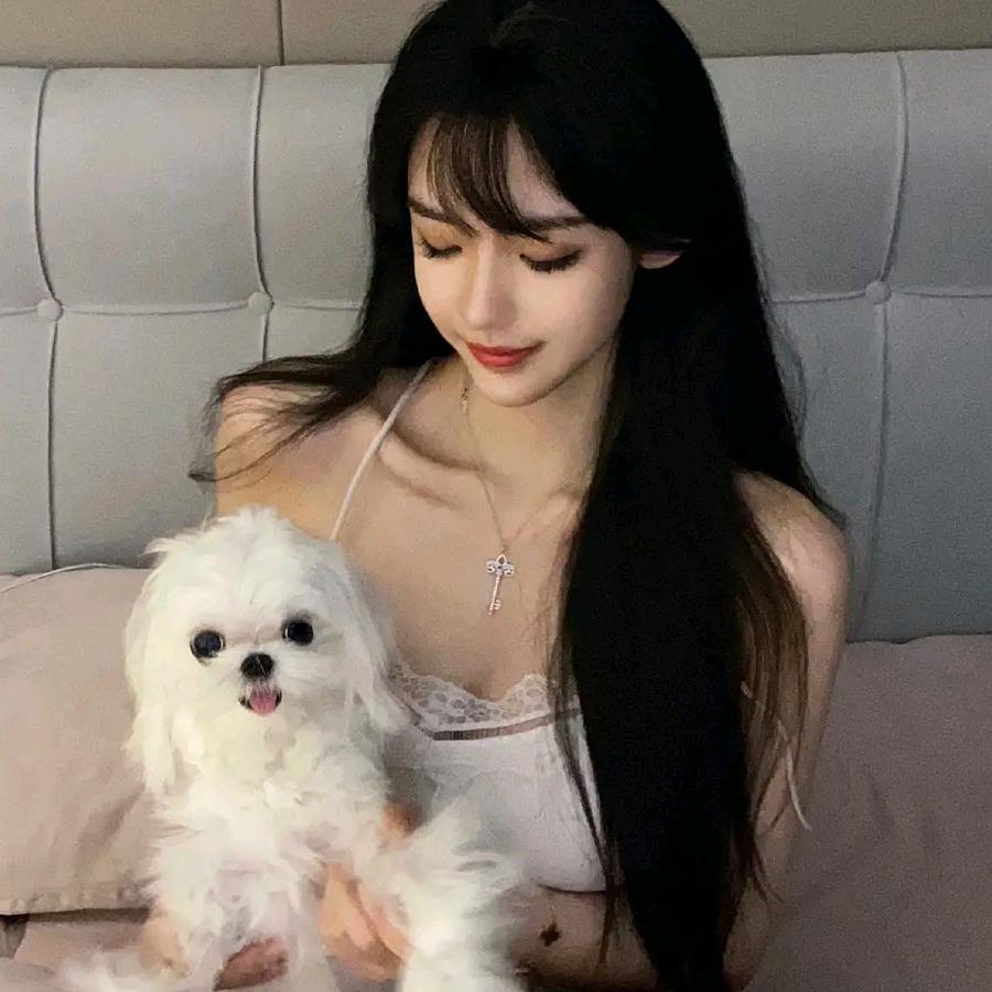 丹丹吖🌸