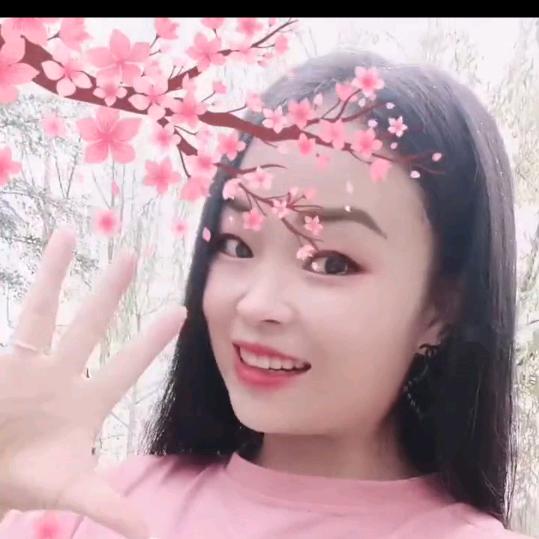 自由🍀💫✨