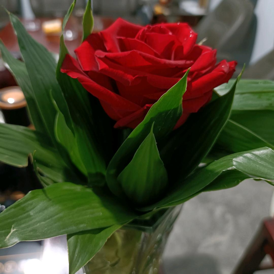 过目不忘的昵称