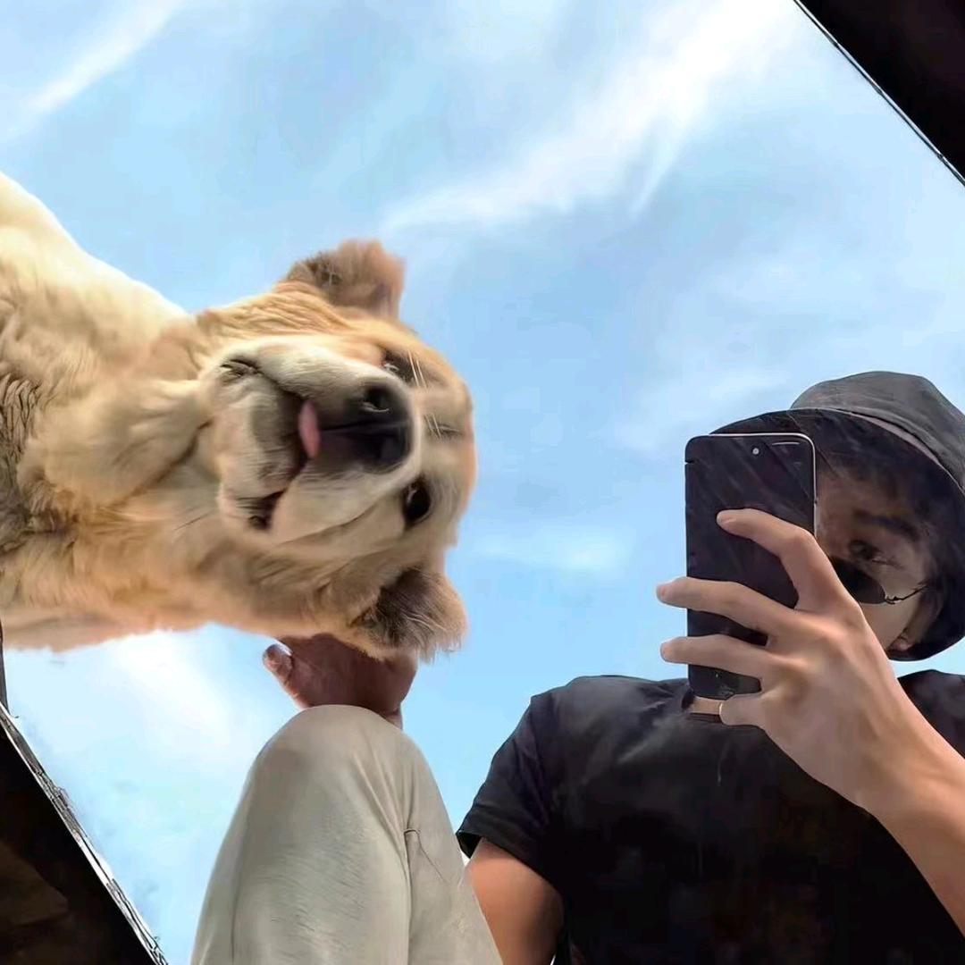 是单反啊丨🦁