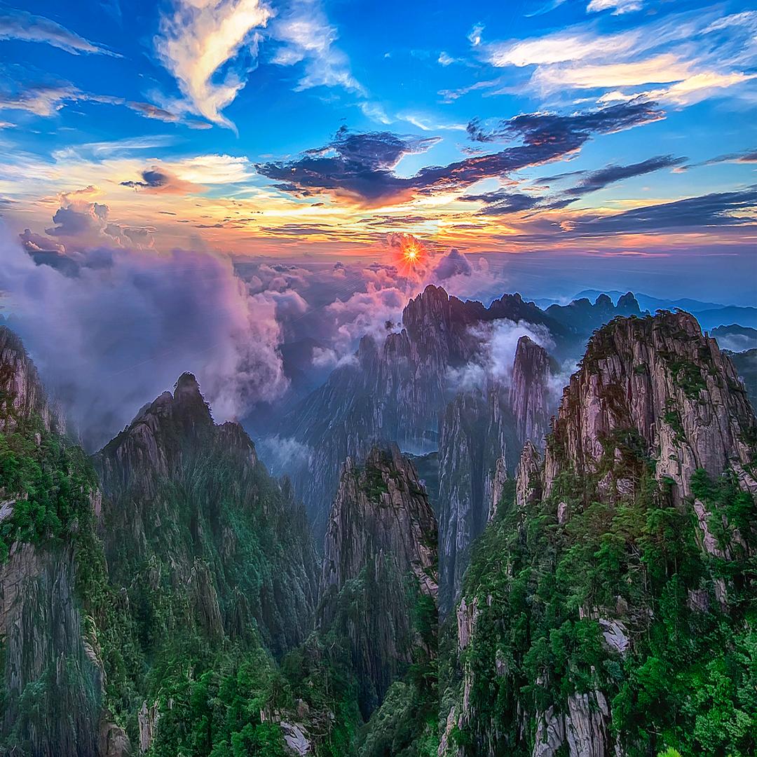 映山红音乐