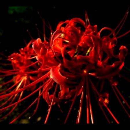 ༄༊༄༊࿆陌࿐࿐