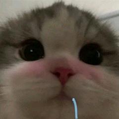 于于晴晴