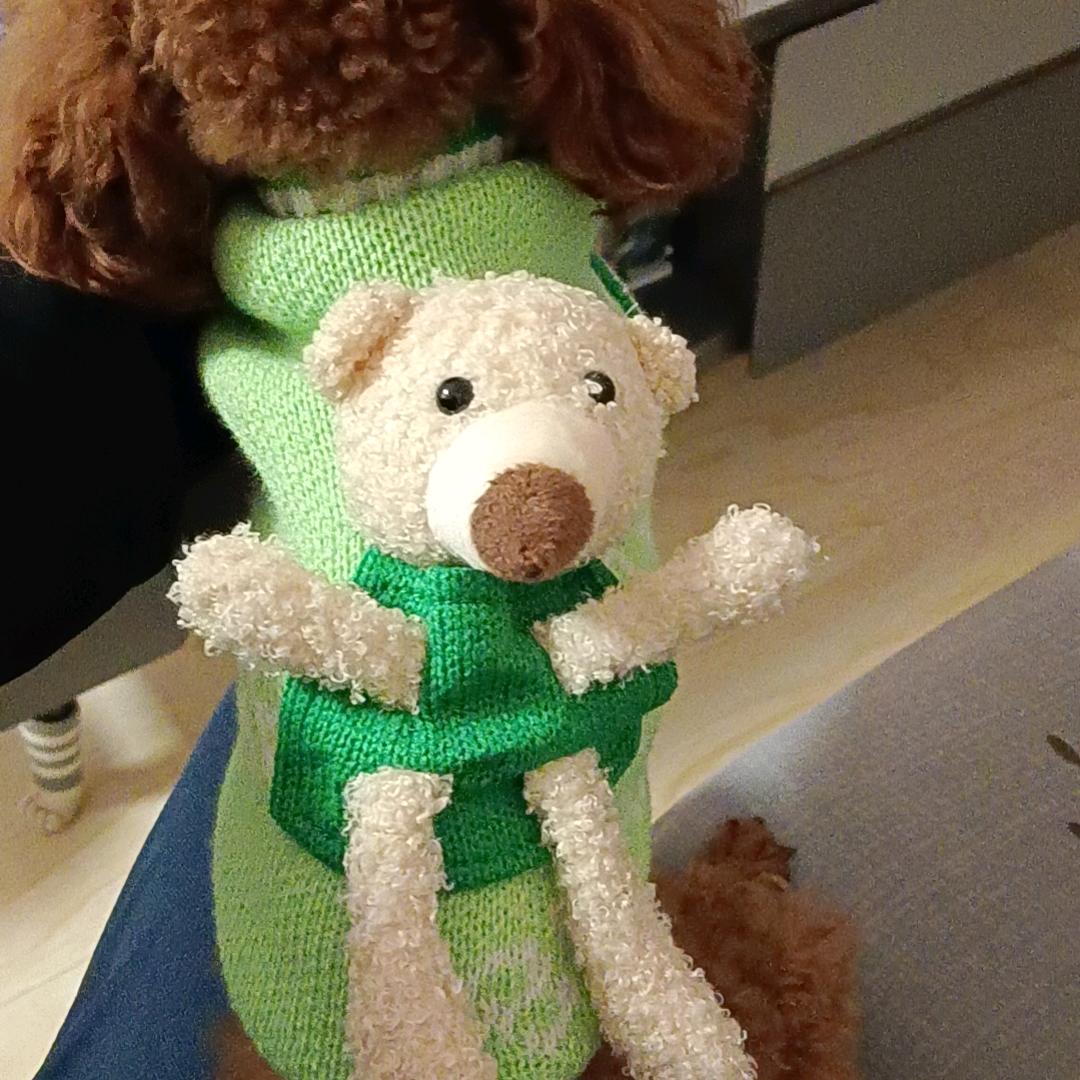 小子🤪🤪🤪🤪