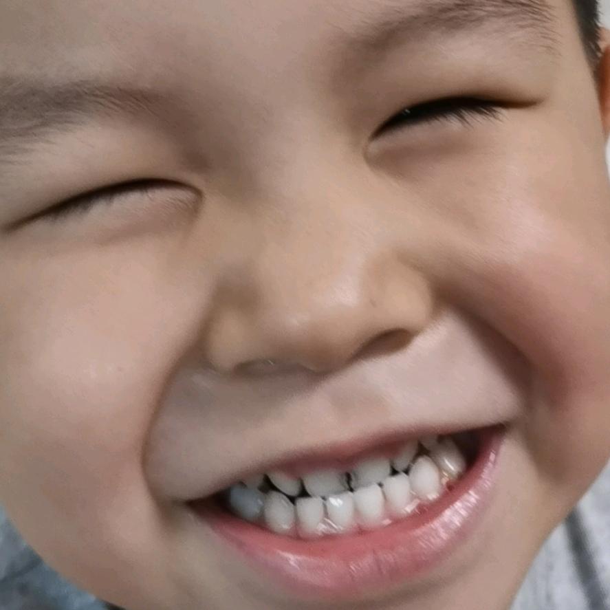 起丞转禾