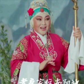 戏迷大婶