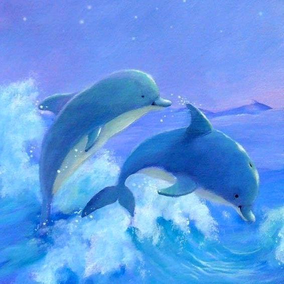 鲸奇精酿啤酒(西亚斯店)官方号