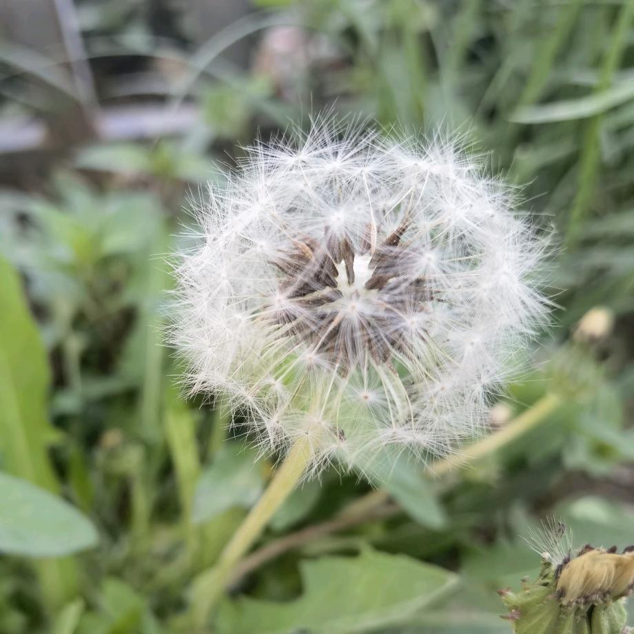 心存感恩，广结善缘