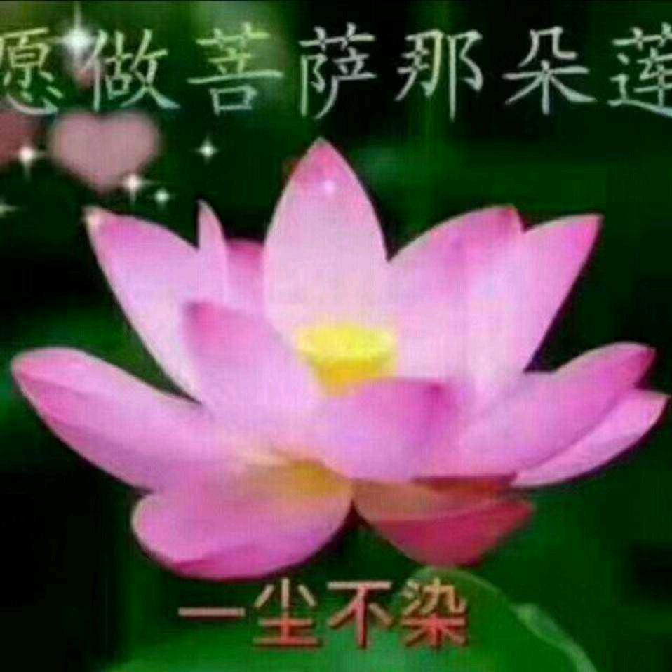 雪花（拒绝私聊）