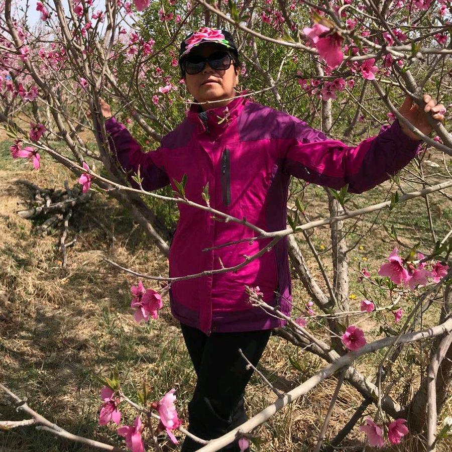 梅兰竹菊