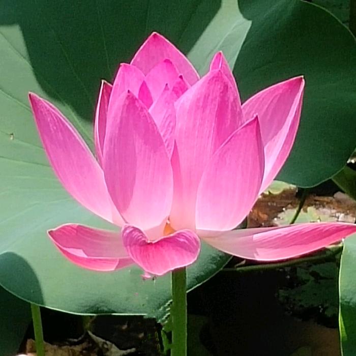 纵横时空