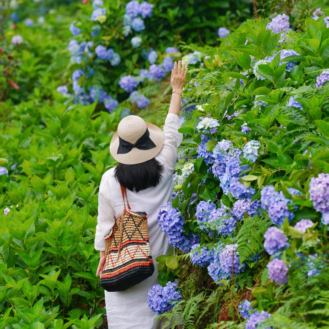 夏末未央
