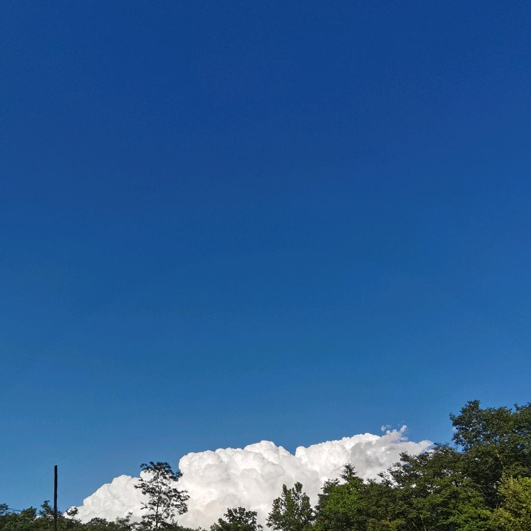 静儿（跨区收割）