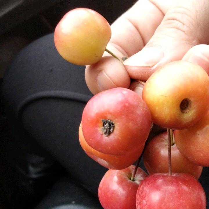 大不了没什么大不了