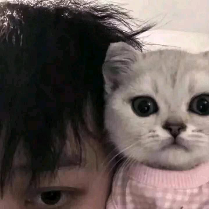 9277