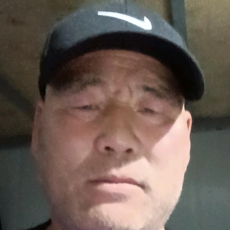 青风摆柳